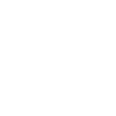 Bloom Network