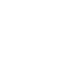 Transition Network